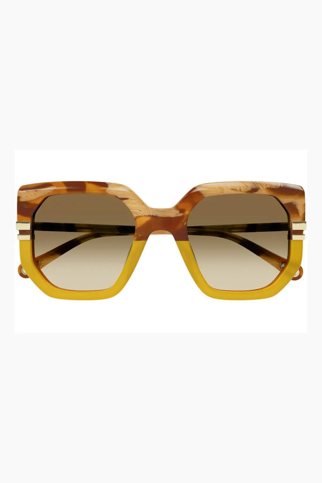 Chloe Square Brown Sunglasses With Brown Lenses (Ch0240s-004-53) 2