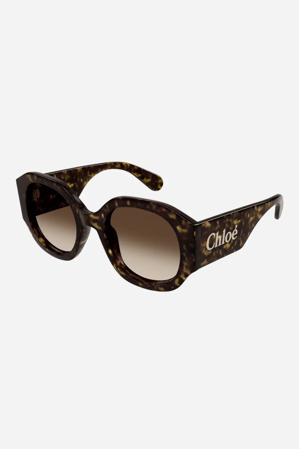 Chloe Square Havana Sunglasses With Brown Lenses (Ch0234s-002 53) 1
