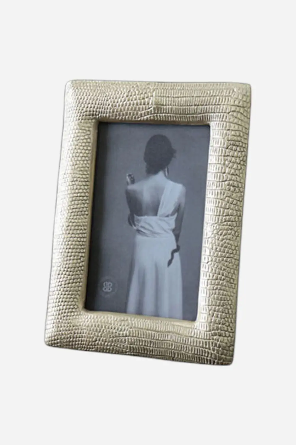 Beatriz Ball Python 4X6 Frame In Gold 1