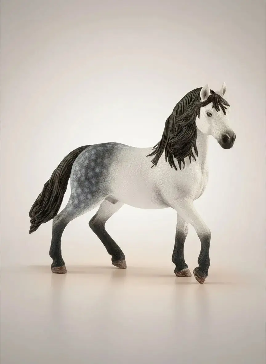 Andalusian Stallion 1