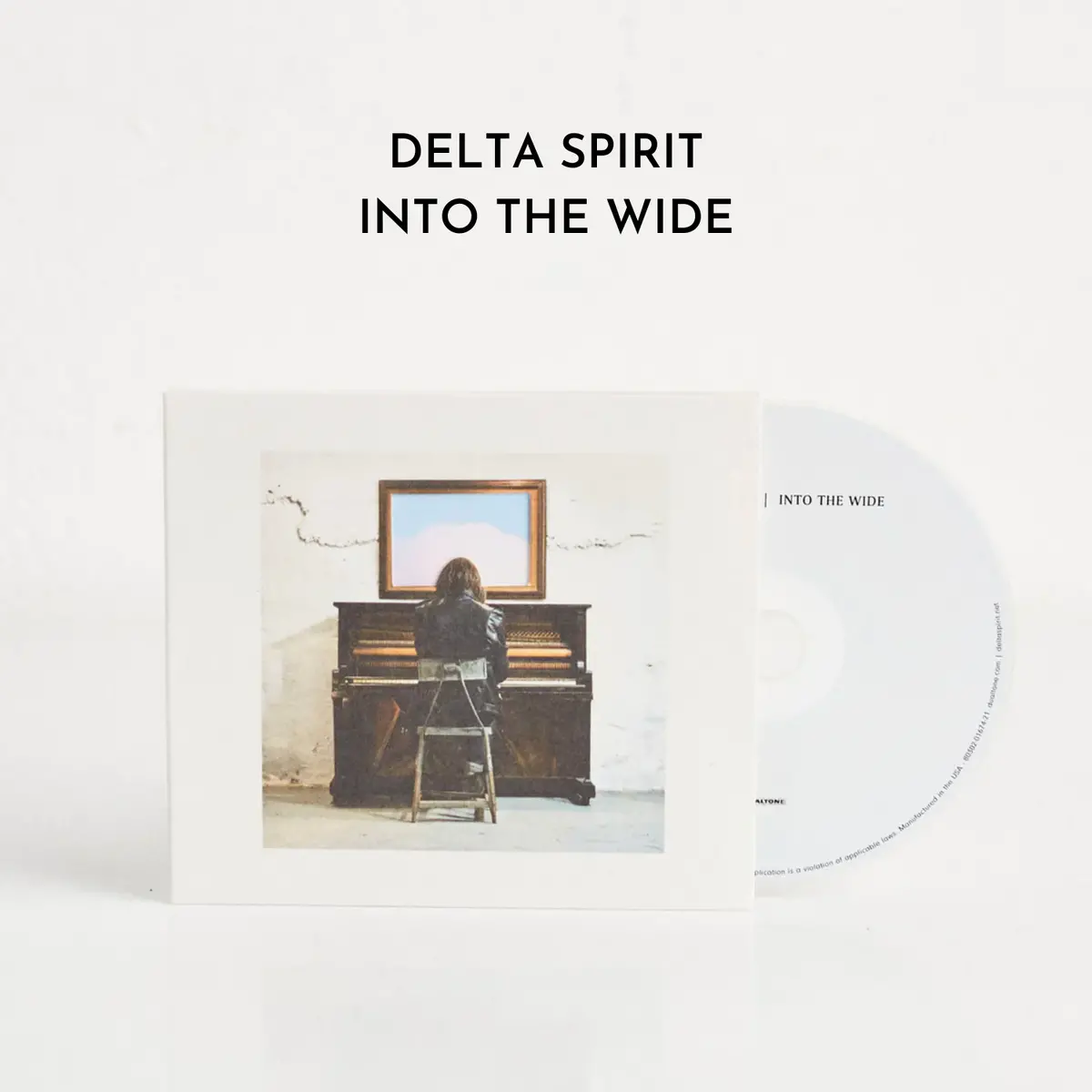 Into The Wide (Cd) 1