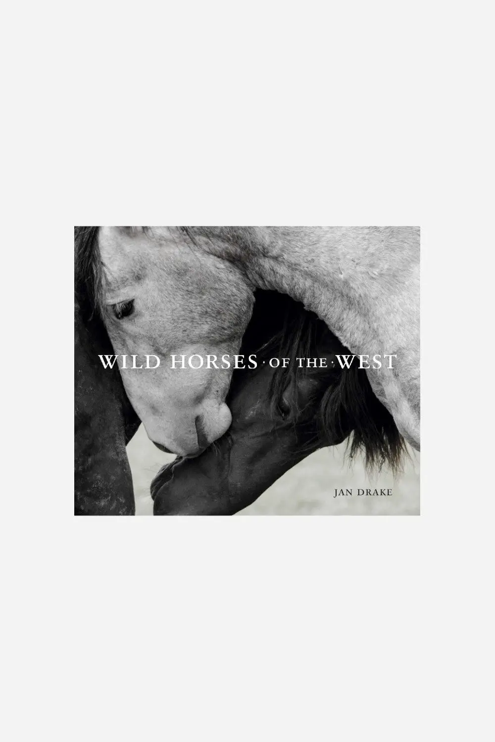 Wild Horses Of The West 1