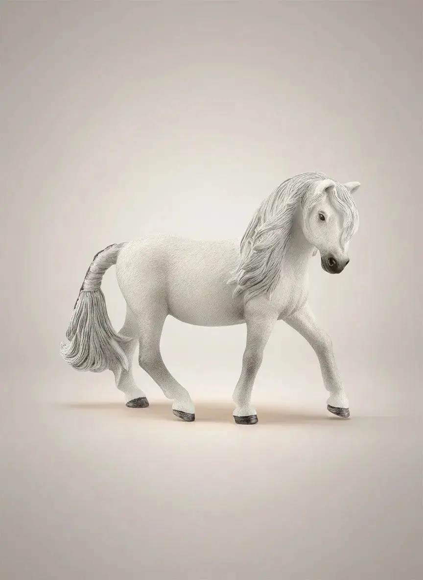 Icelandic Pony Mare 1