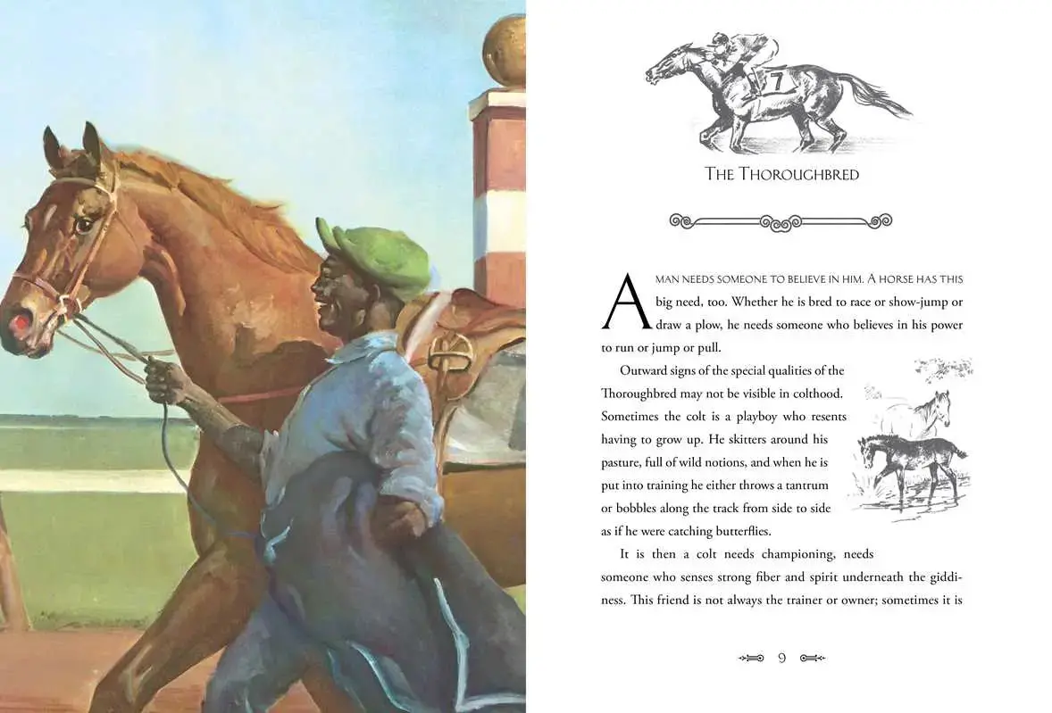 Album Of Horses 2