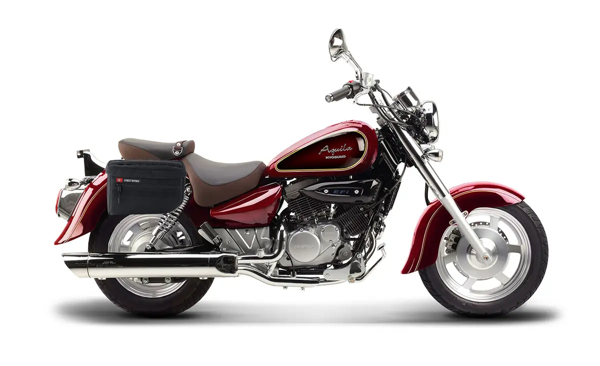 18L - Patriot Medium Hyosung Aquila Gv 250 Motorcycle Throw Over Saddlebags 2