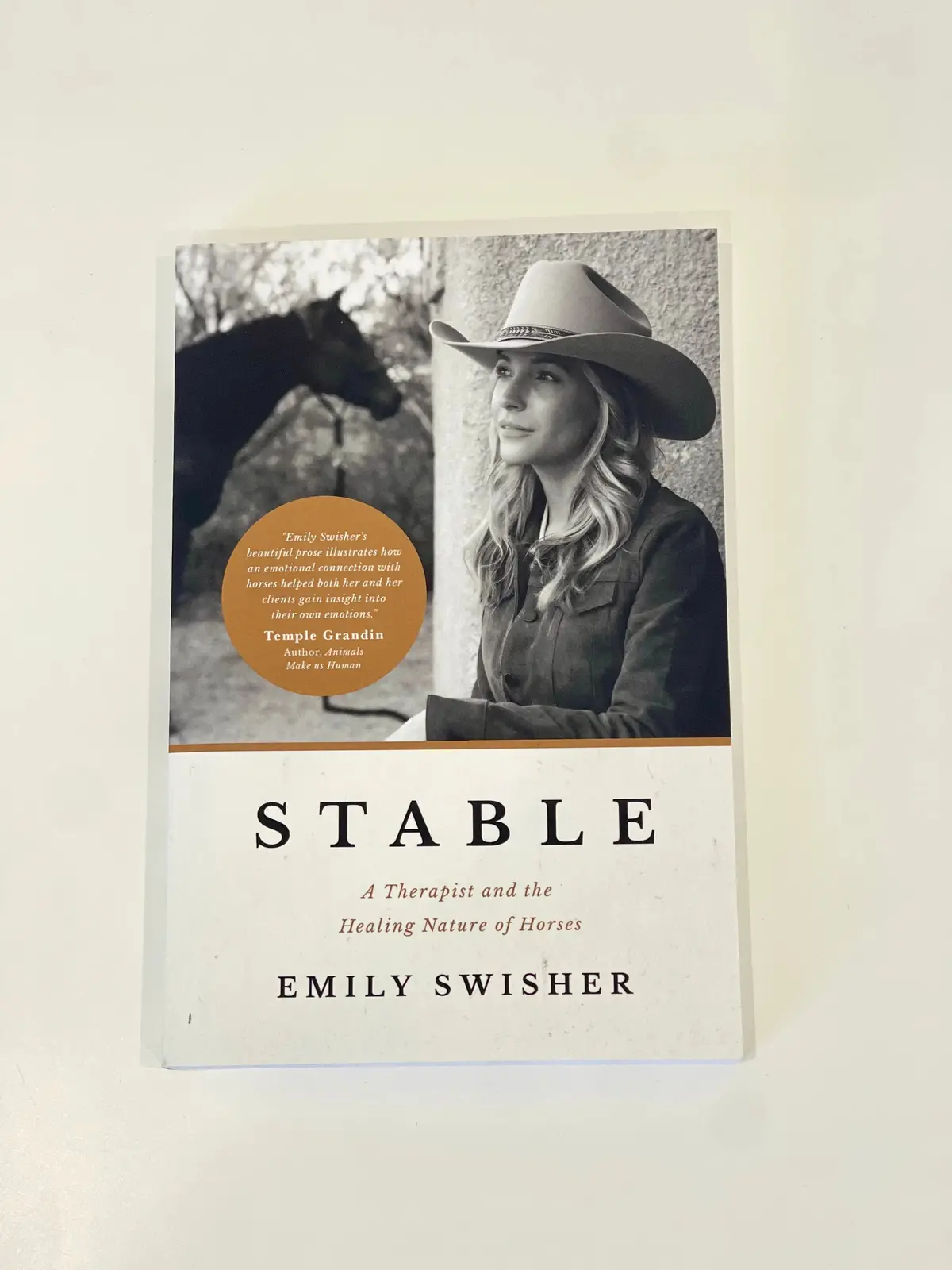 Stable: A Therapist And The Healing Nature Of Horses 1