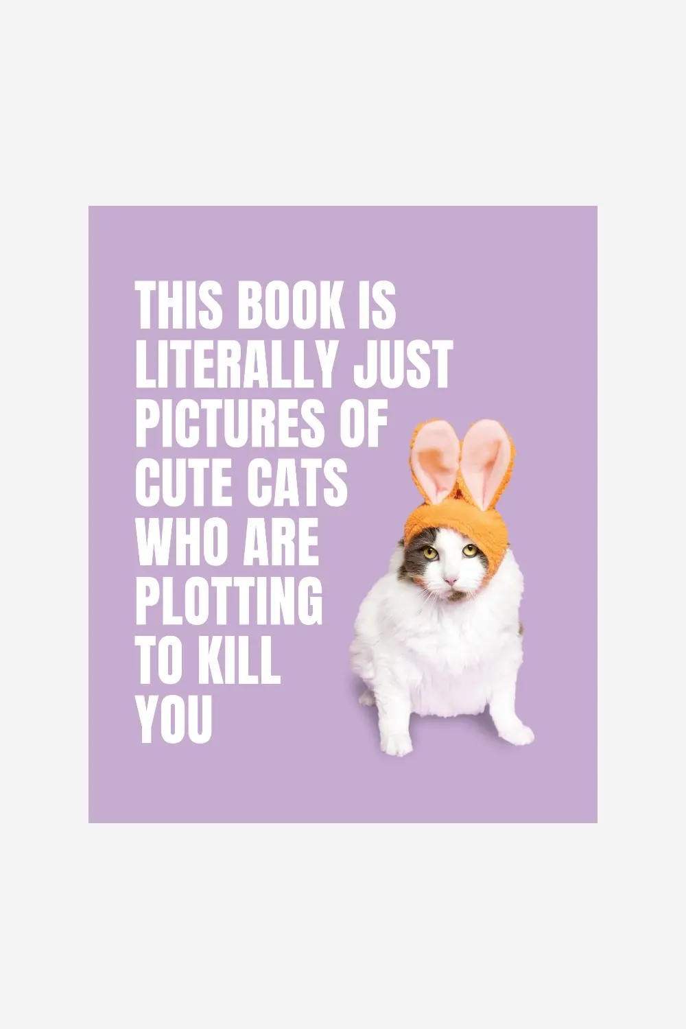This Book Is Literally Just Cute Cats Who Are Plotting To Kill You 1
