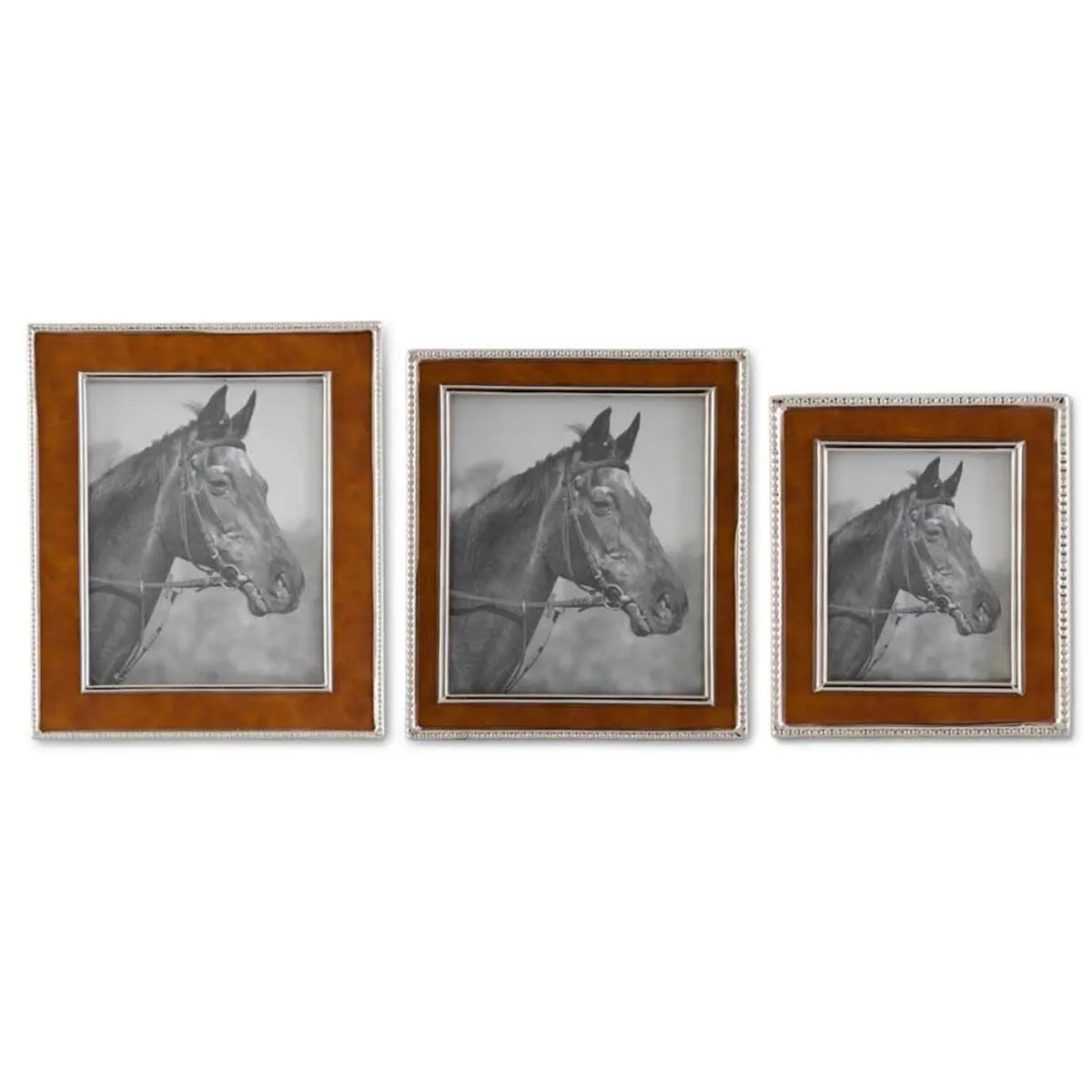Brown Leather Frames With Silver Trim, 4X6 1