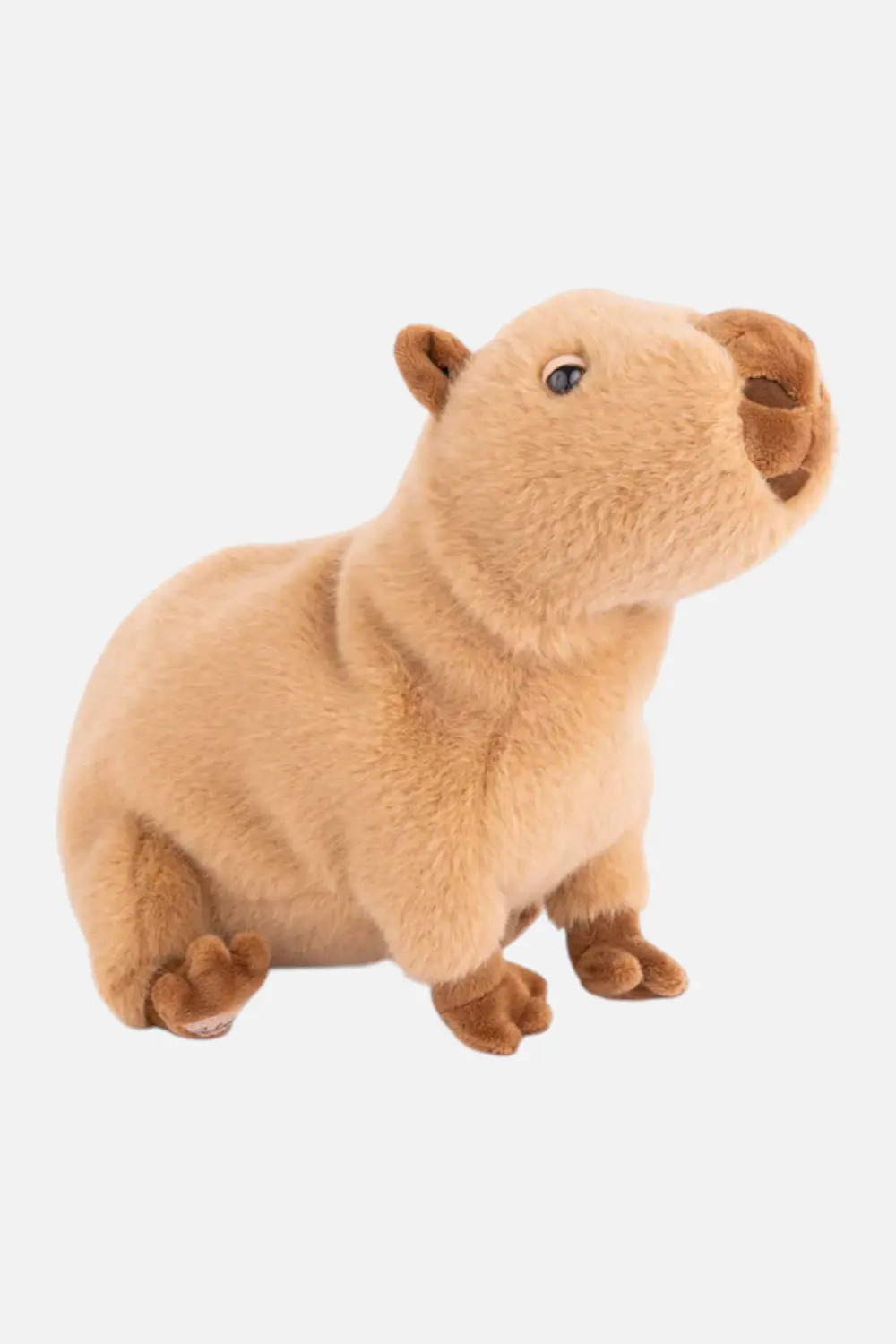 Bukowski Bears Theo Capybara Plush Toy 1