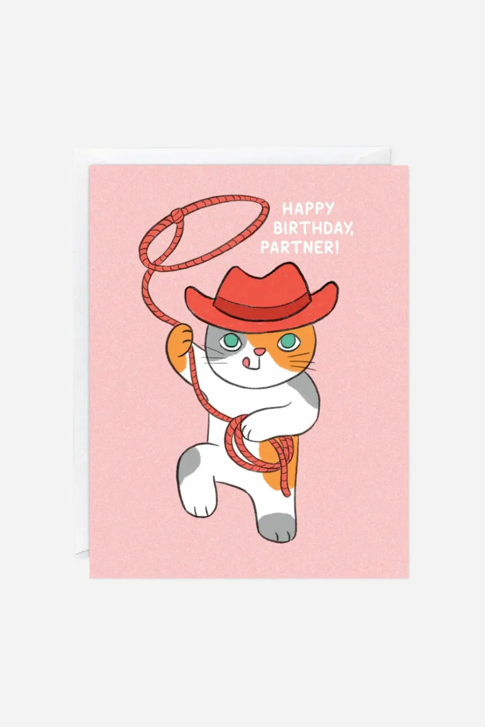 Cat Cowboy Birthday Card 1