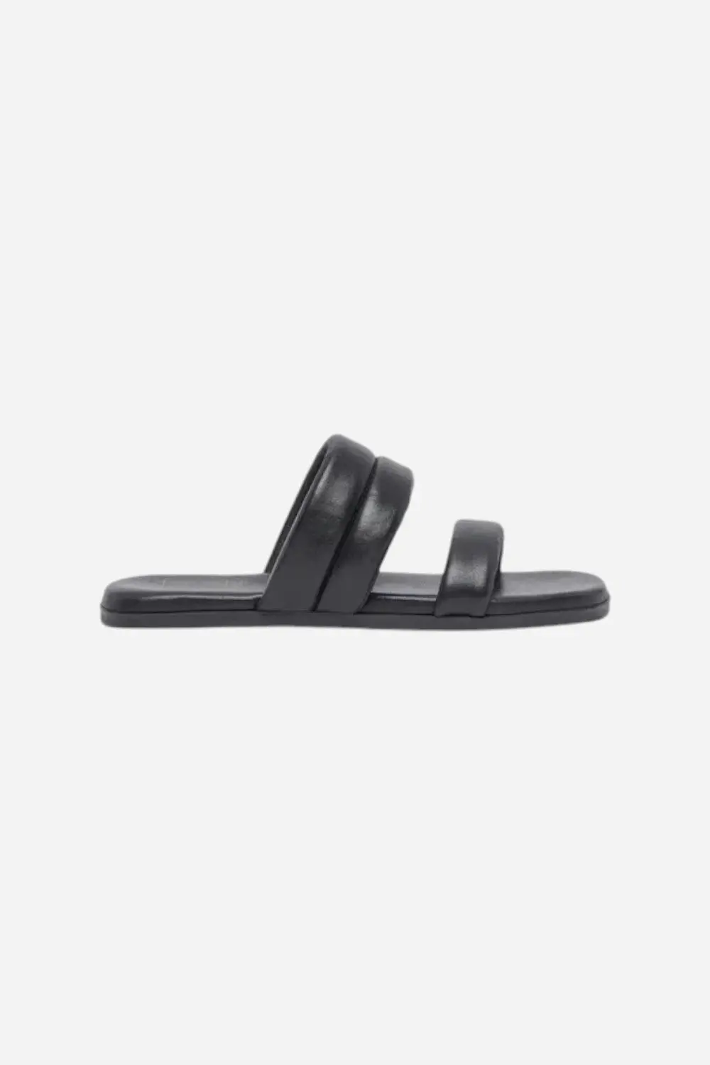 Dolce Vita Adore Sandal In Black 2
