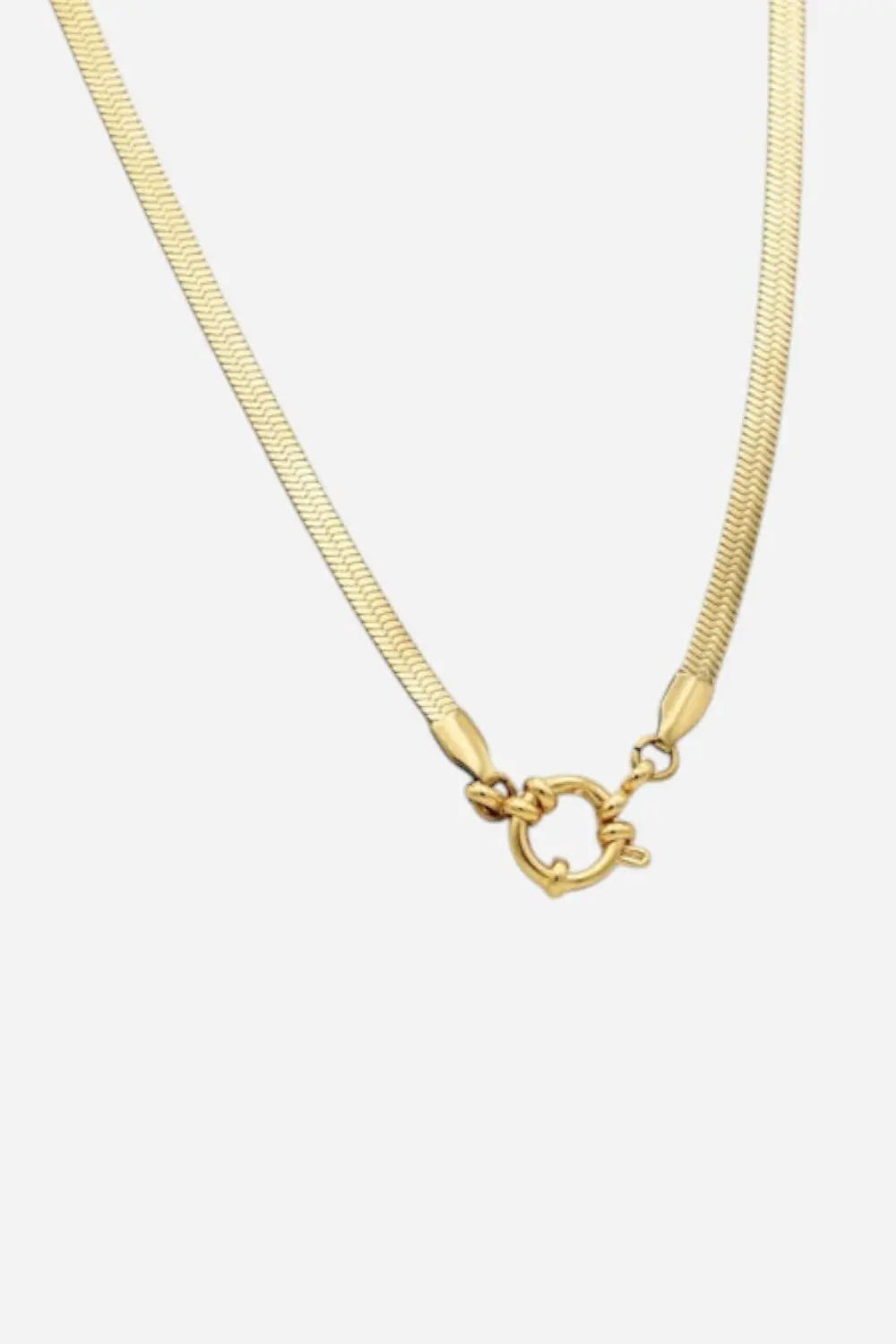 Farrah B Buckle Up Clasp Necklace 1
