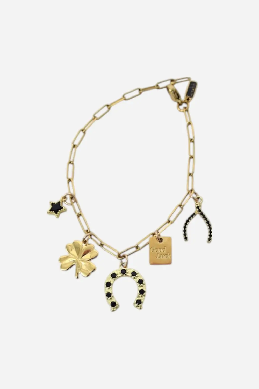 Farrah B Lucky Curio Charm Bracelet 1