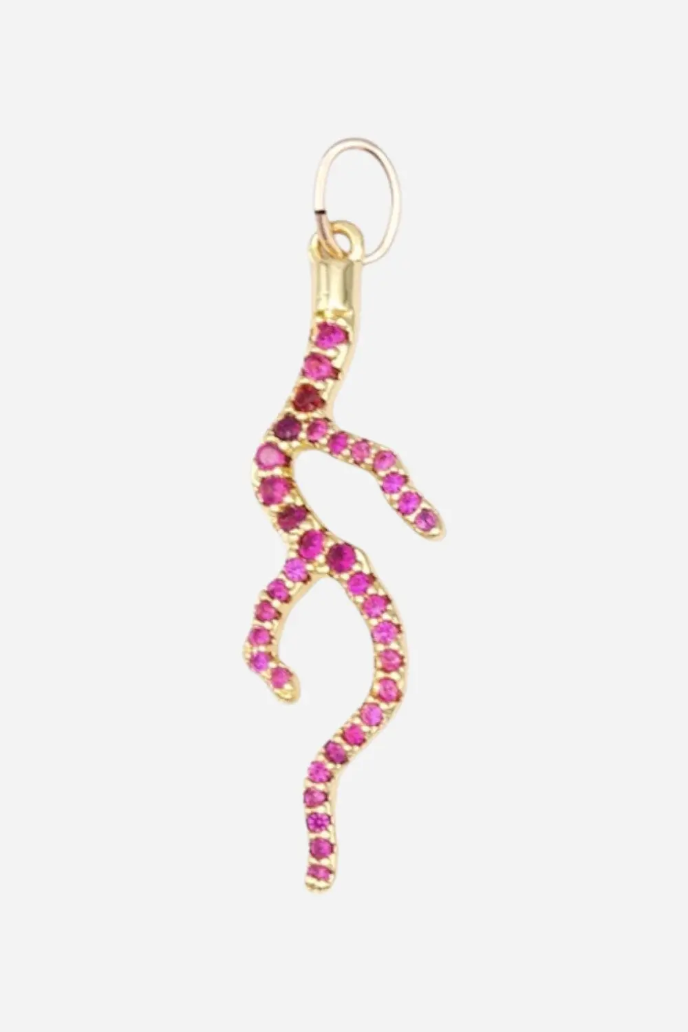 Farrah B Reef Charm 1