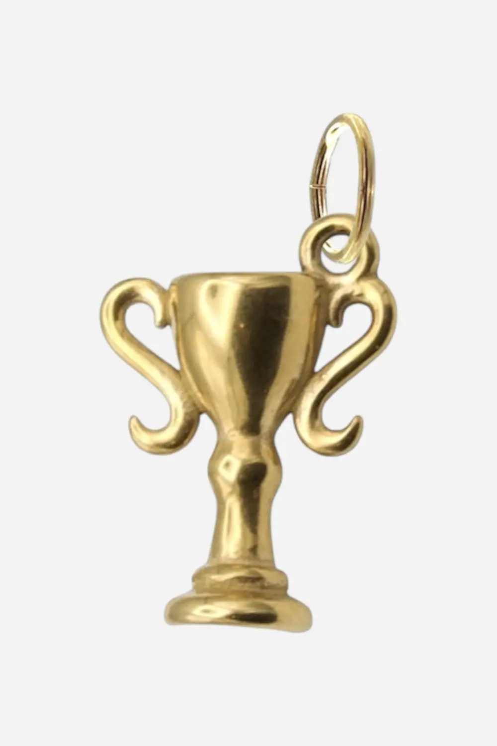 Farrah B Trophy Charm 1