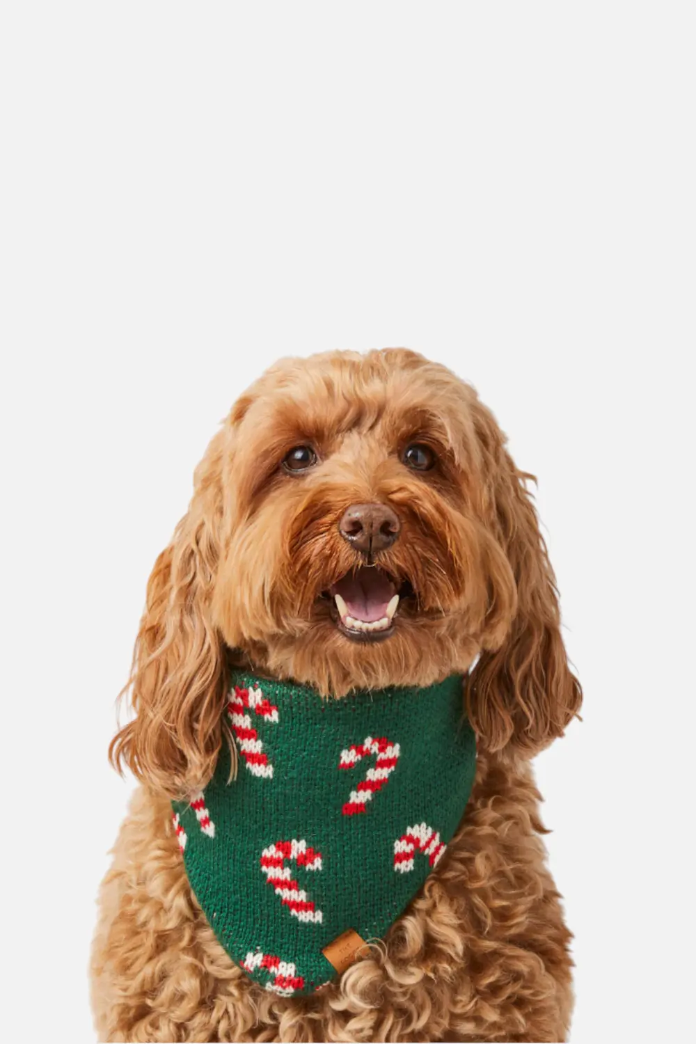 Foggy Dog Candy Cane Knit Bandana 1