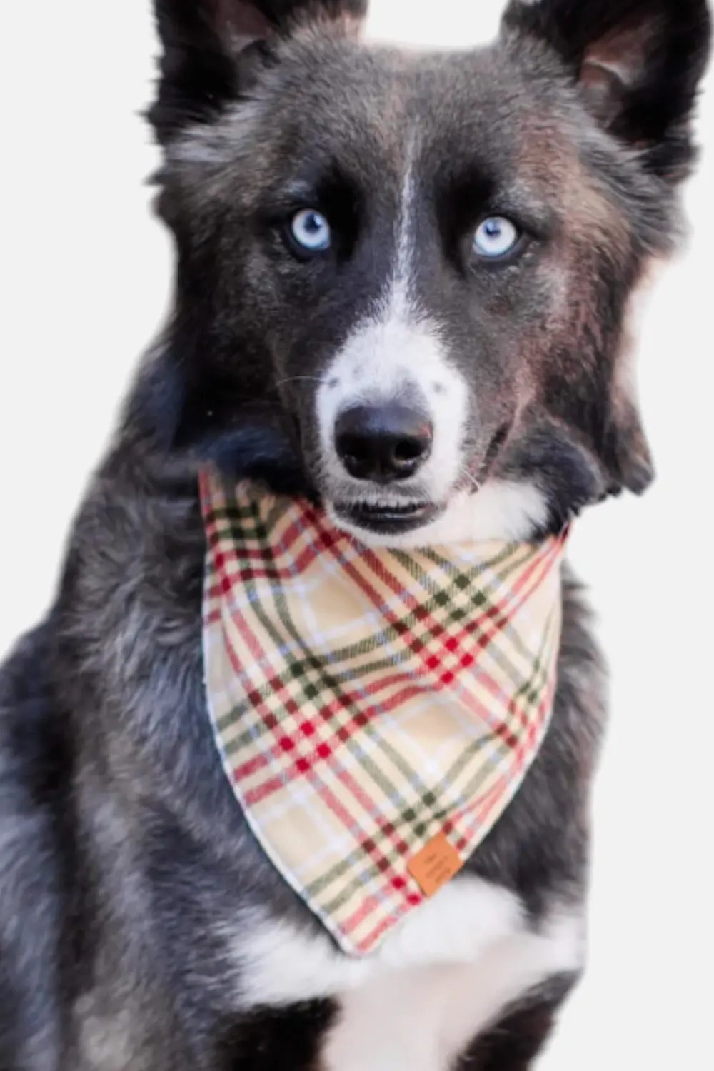 Foggy Dog Eggnog Plaid Flannel Dog Bandana 1