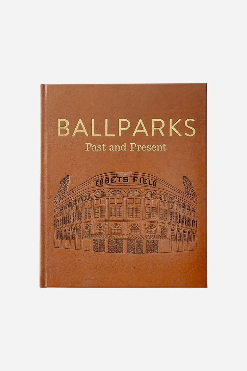 Graphic Image Ballparks Past And Present Book 1