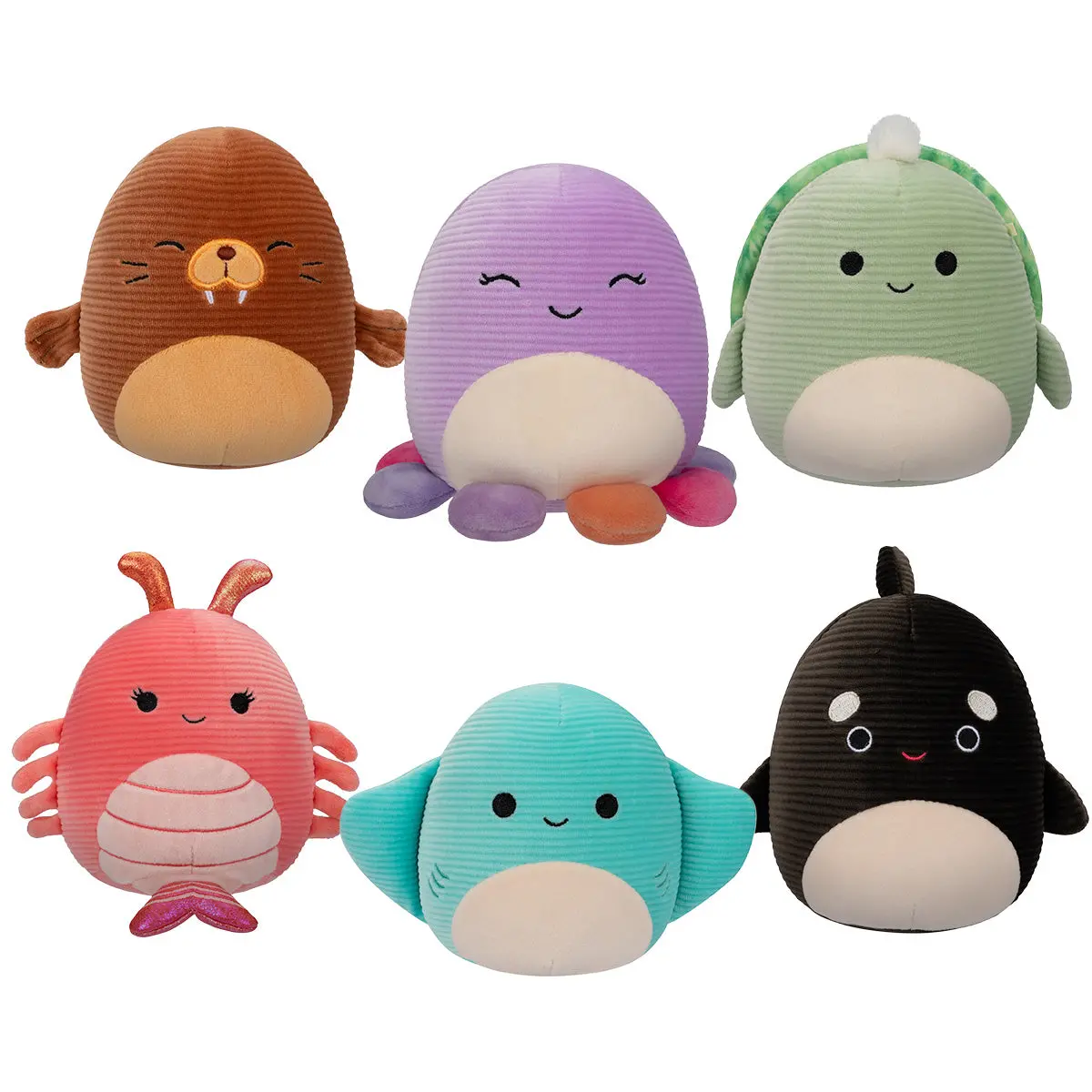 Corduroy Sealife 6 Pack 1