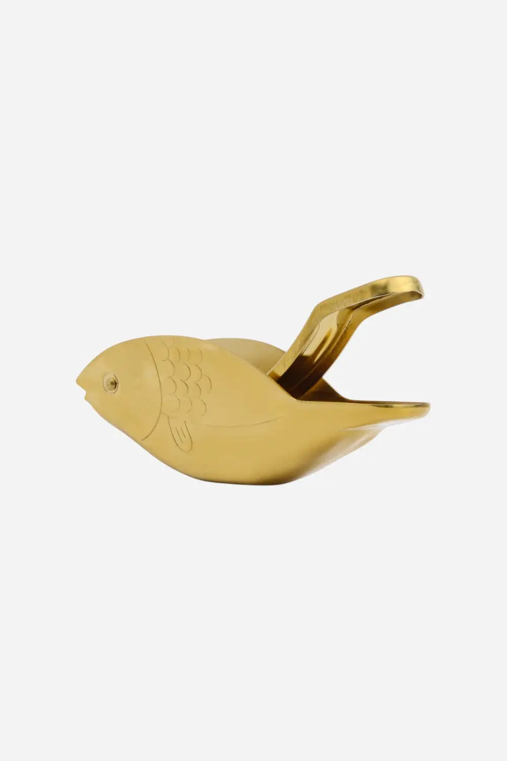 Here's How The Stevie Fish Citrus Juicer 1