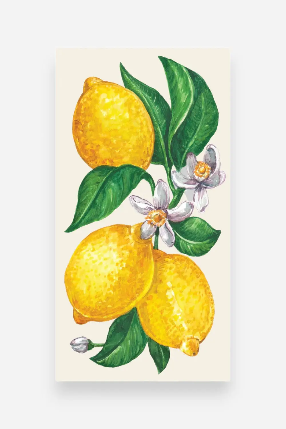 Hester & Cook Lemons Guest Napkins 1