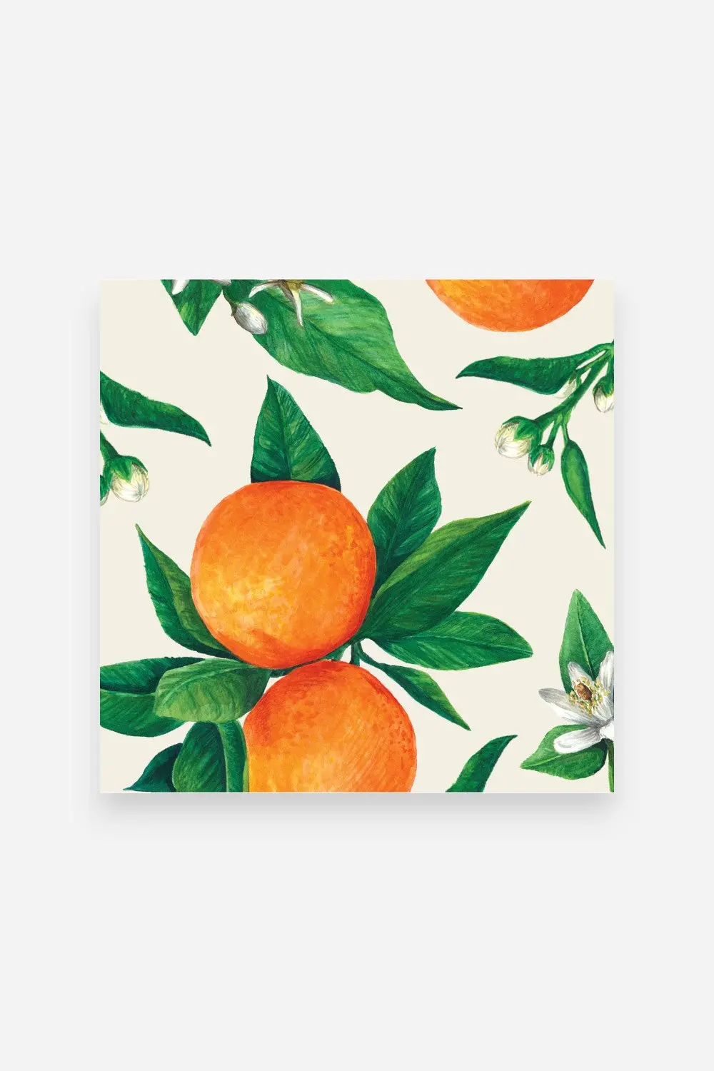 Hester & Cook Orange Orchard Cocktail Napkins 1