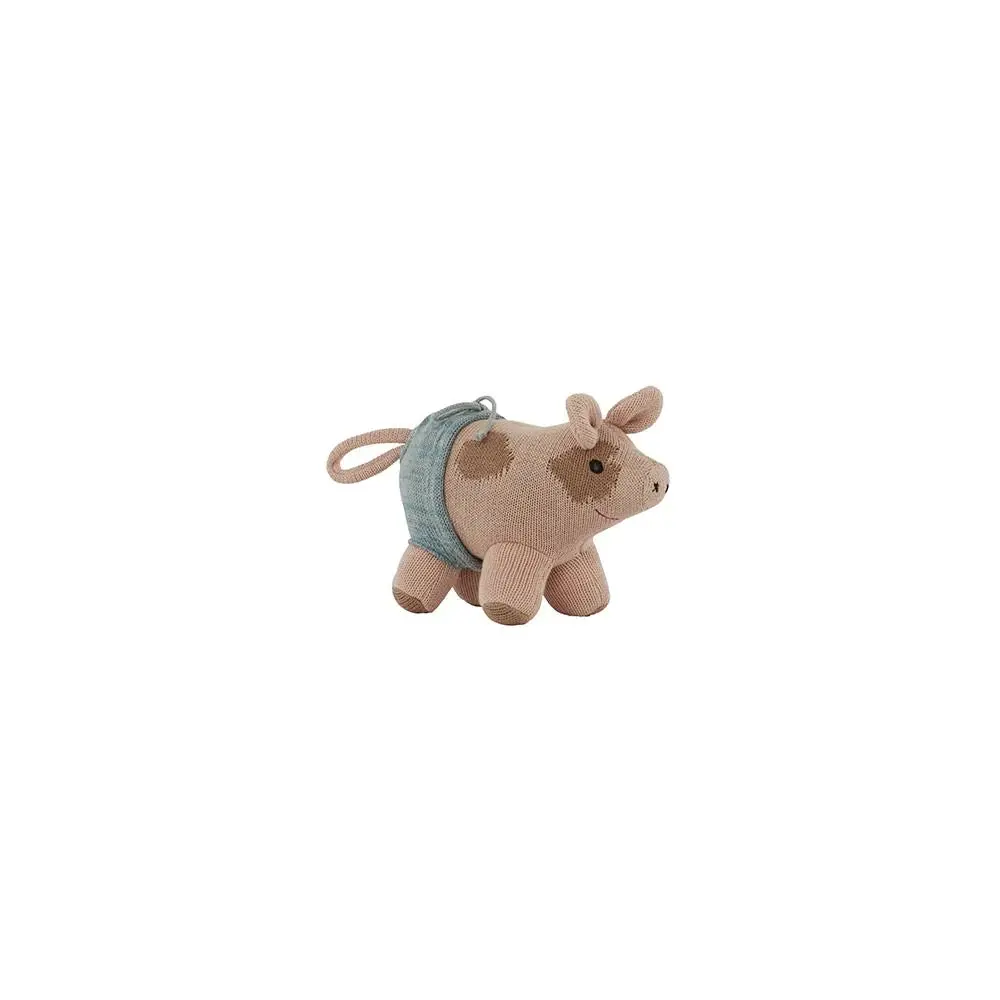 Hugo Mini Pig Rose 1