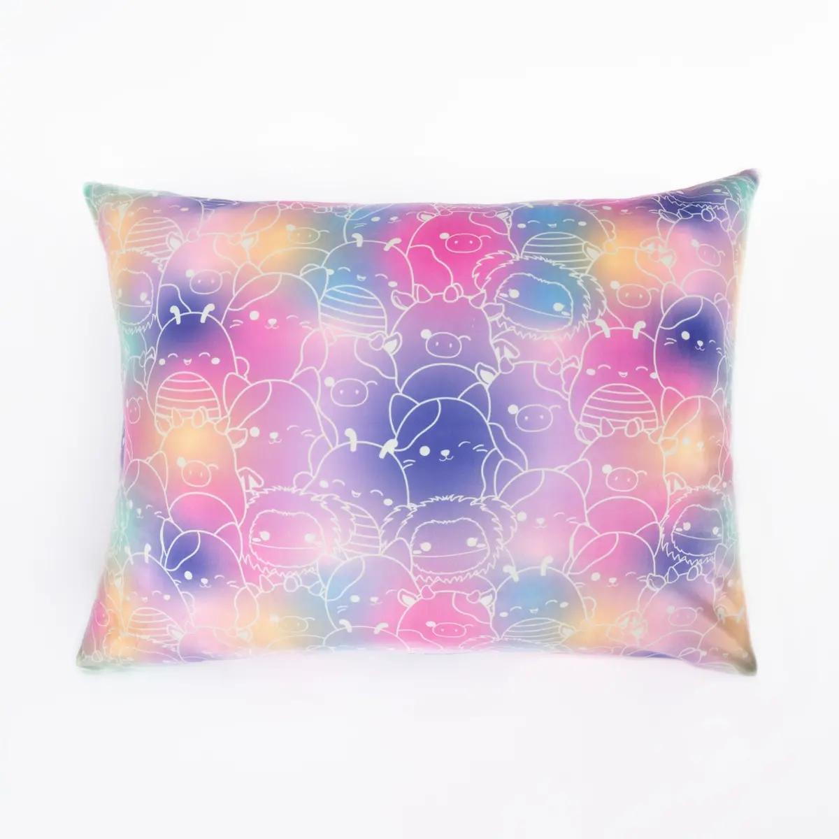 "Ombre All Day" Squishpillow Pillowcase (Standard) 1