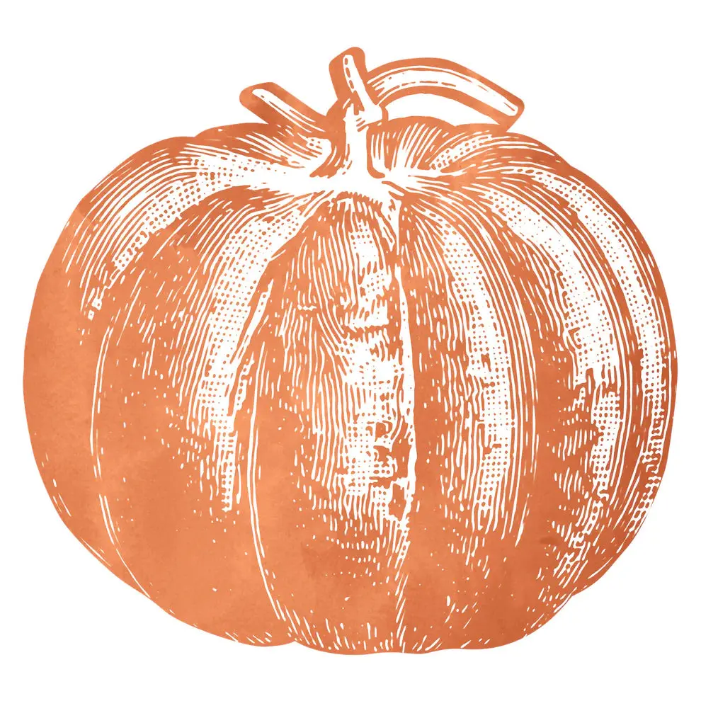Hester & Cook Die Cut Pumpkin Placemat, Set Of 12 1