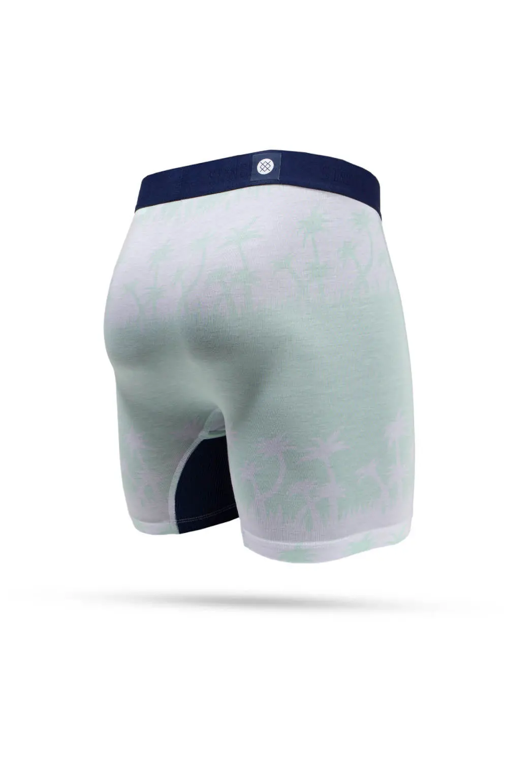 Stance Kearny Boxer Brief In Mint 2