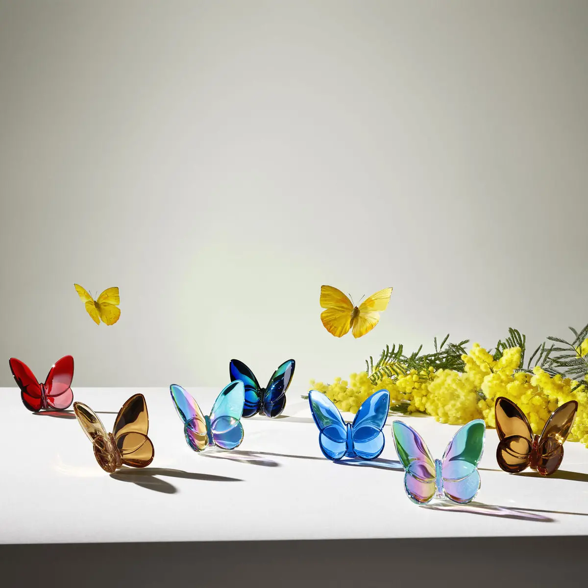 Baccarat Papillon Lucky Butterfly In Turquoise 2