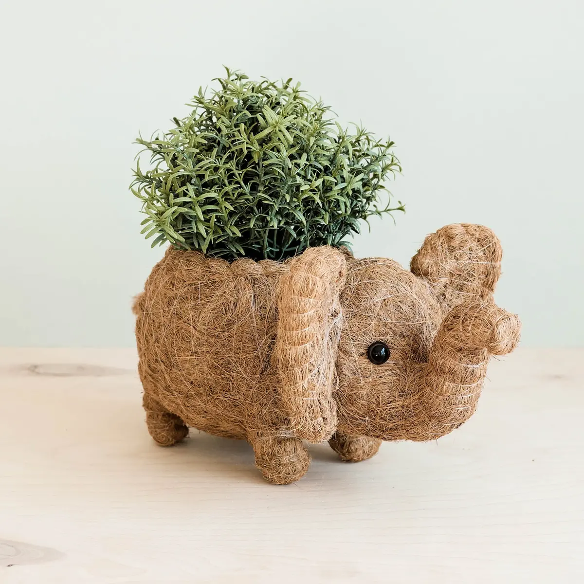 Likha Coco Coir Pots Elephant Plant Pot 2
