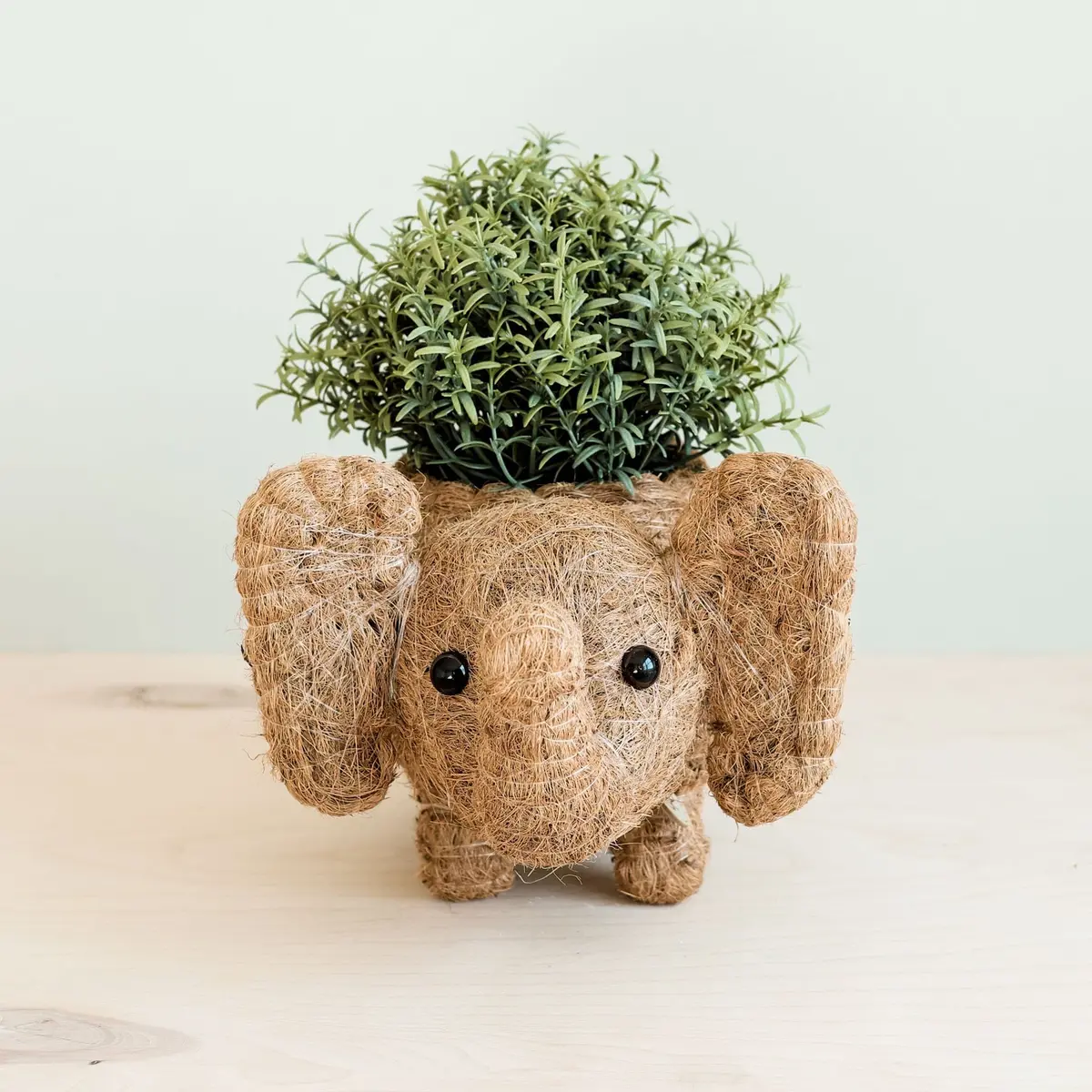 Likha Coco Coir Pots Elephant Plant Pot 1