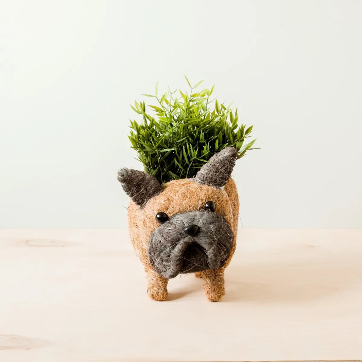 Likha Coco Coir Pots French Bulldog Planter 1