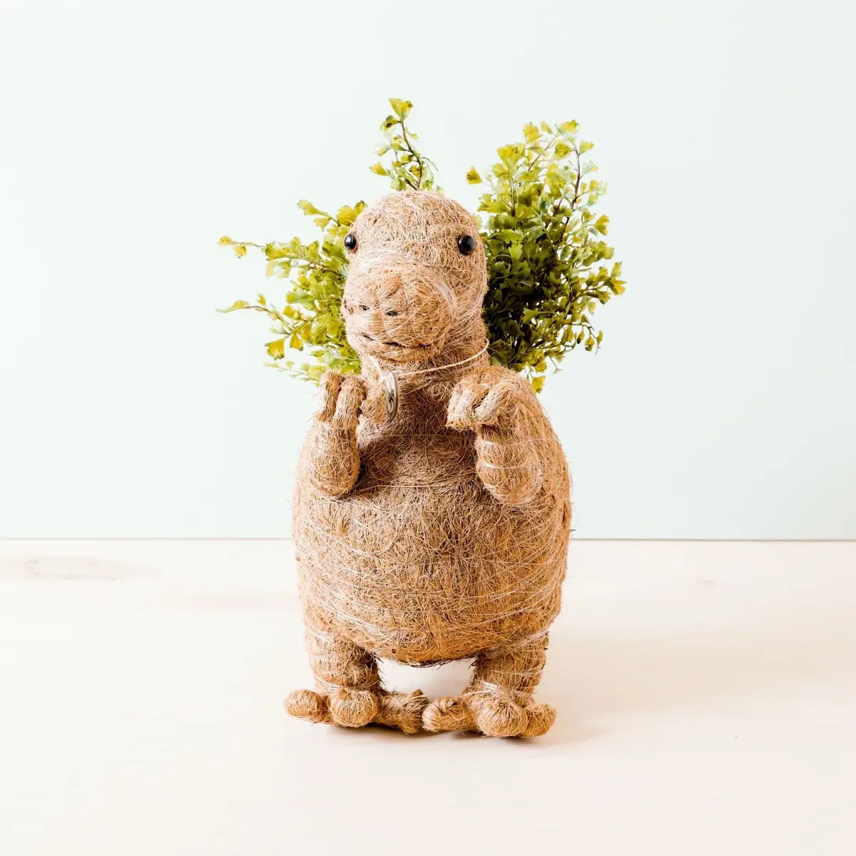 Likha Coco Coir Pots T-Rex Planter 1