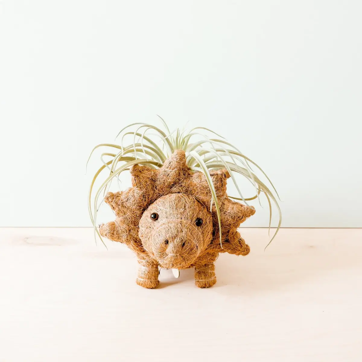Likha Coco Coir Pots Triceratops Planter 1