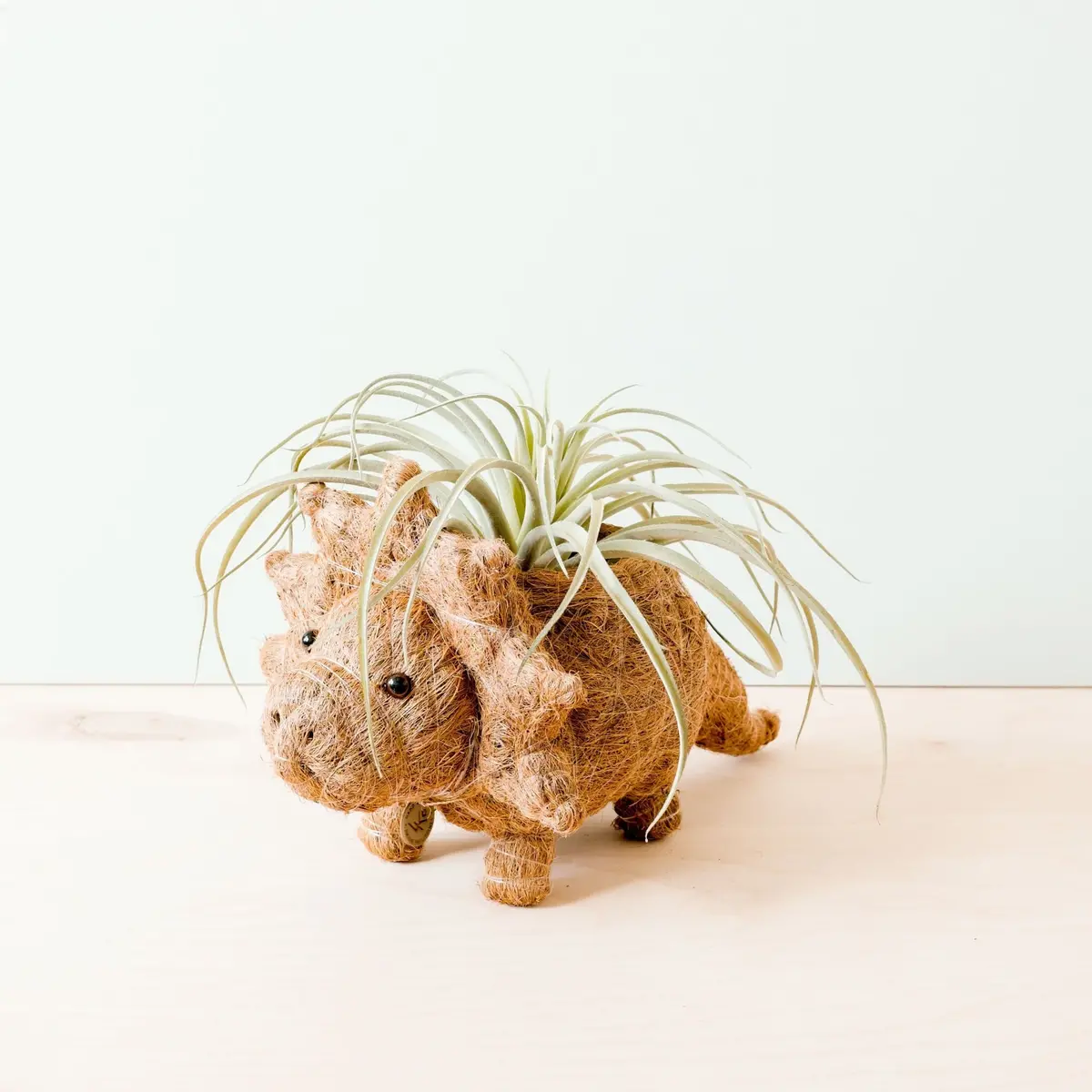 Likha Coco Coir Pots Triceratops Planter 2