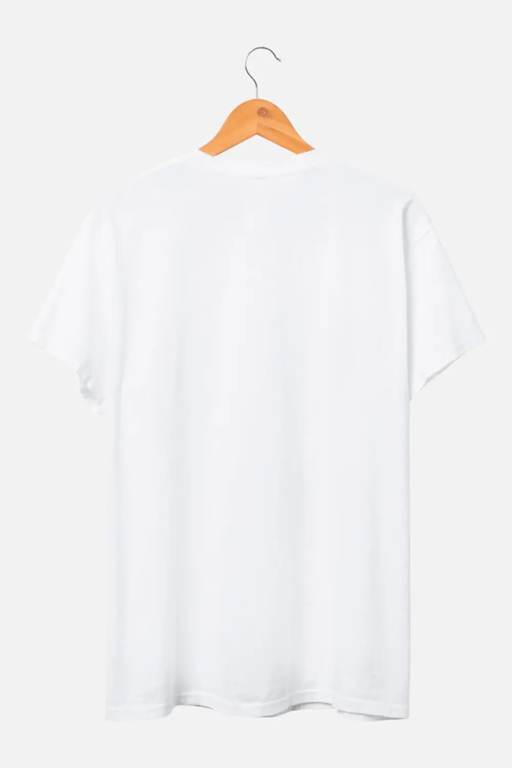 Junk Food Lynyrd Skynyrd Free Bird Tee In White 2