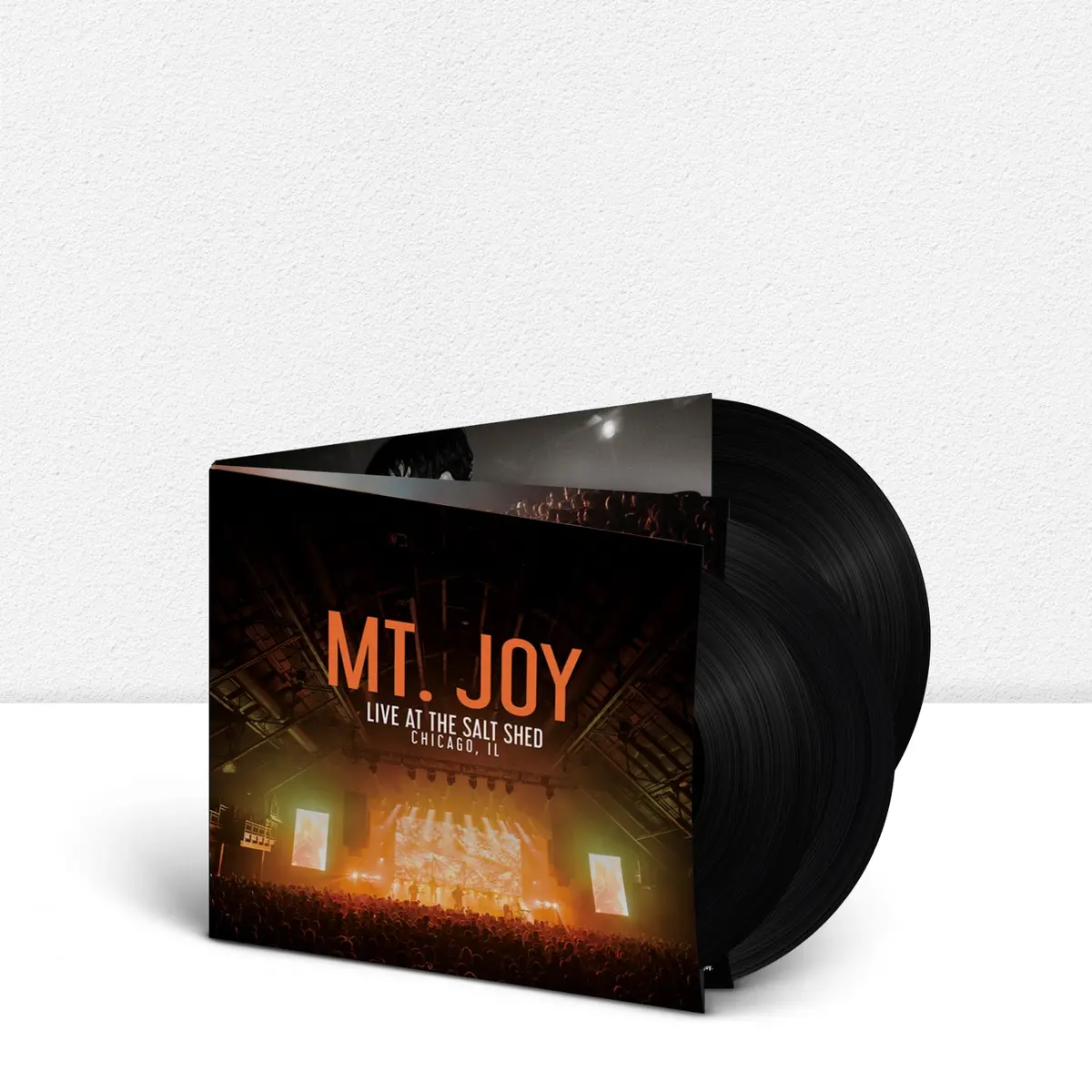 Live At The Salt Shed (Vinyl) 2