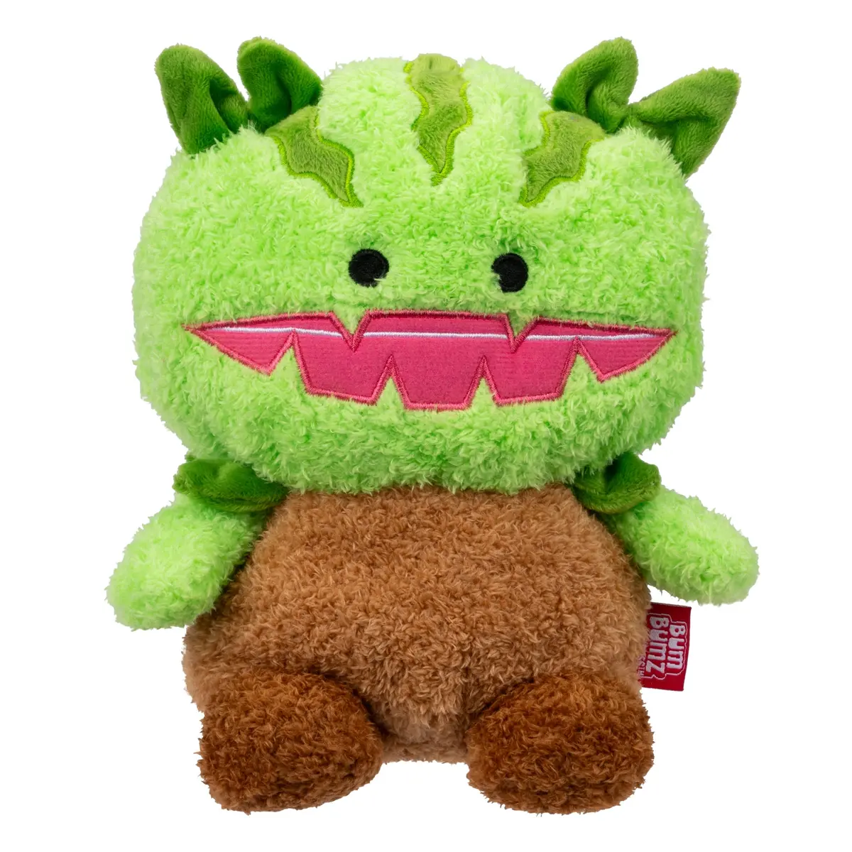 Venus Fly Trap Vinnie 1