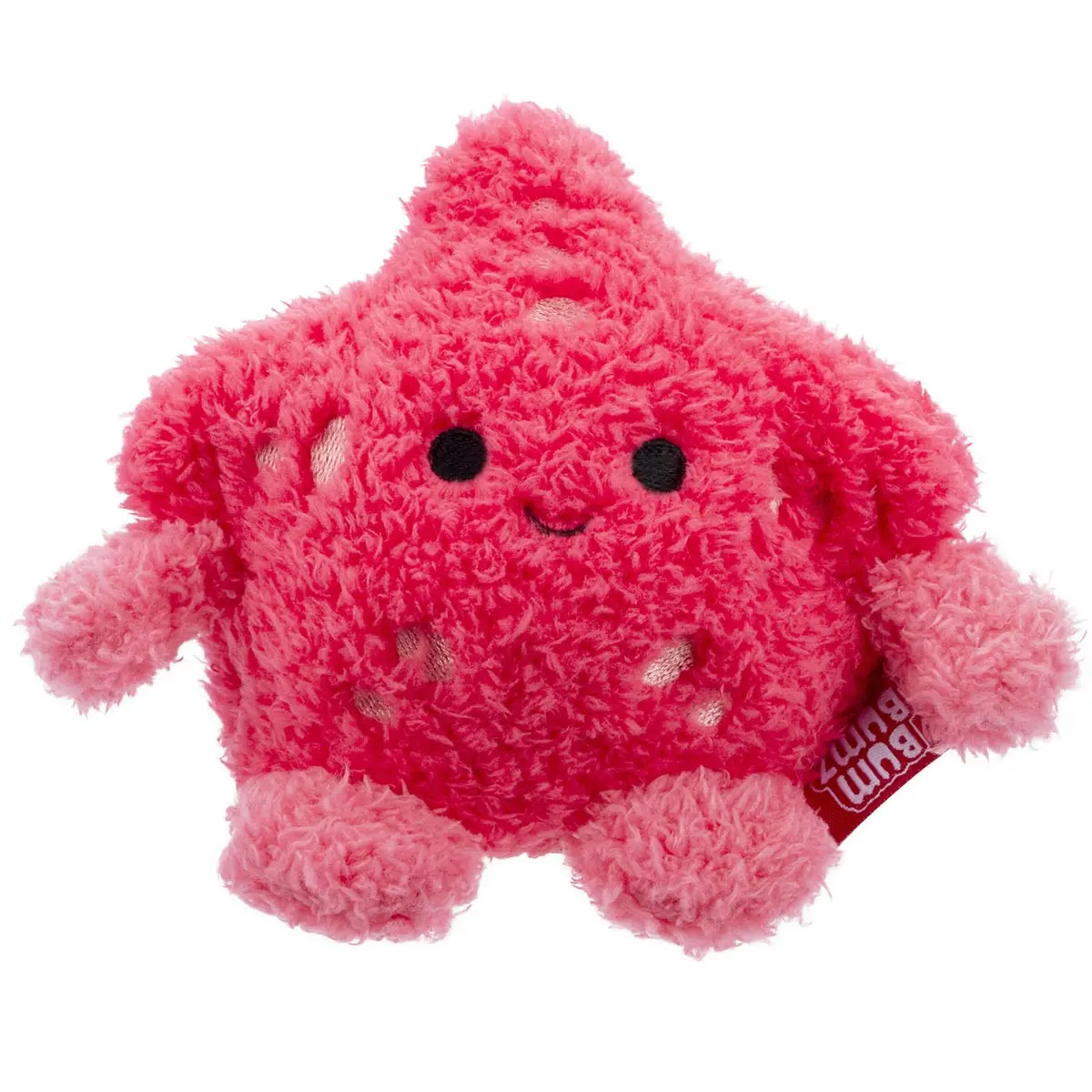Starfish Sandrine 1