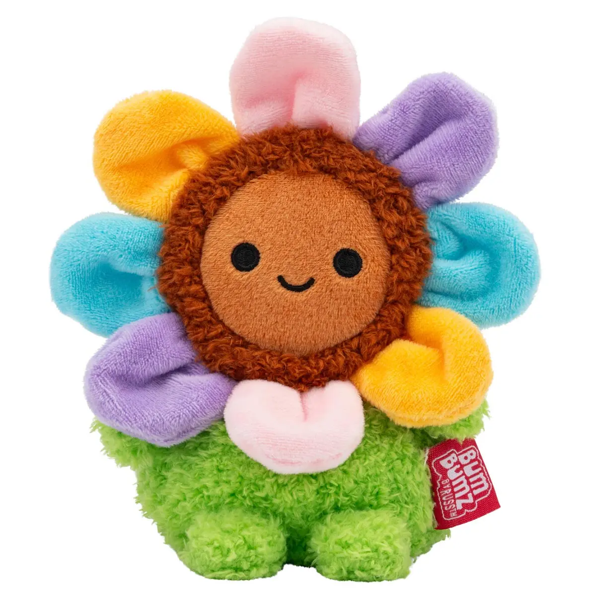 Gerbera Daisy Grayce 1