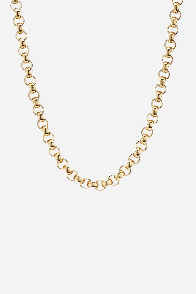 Jenny Bird Rodin Chain In Gold 1