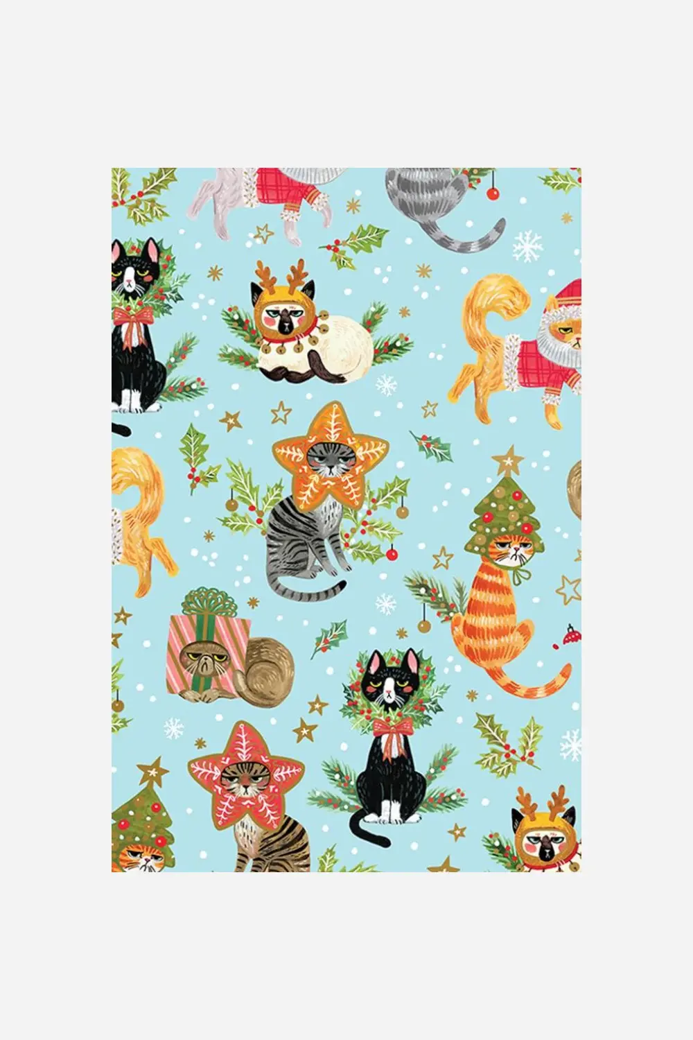 Rolls Naughty Cats Gift Wrapping Paper 1
