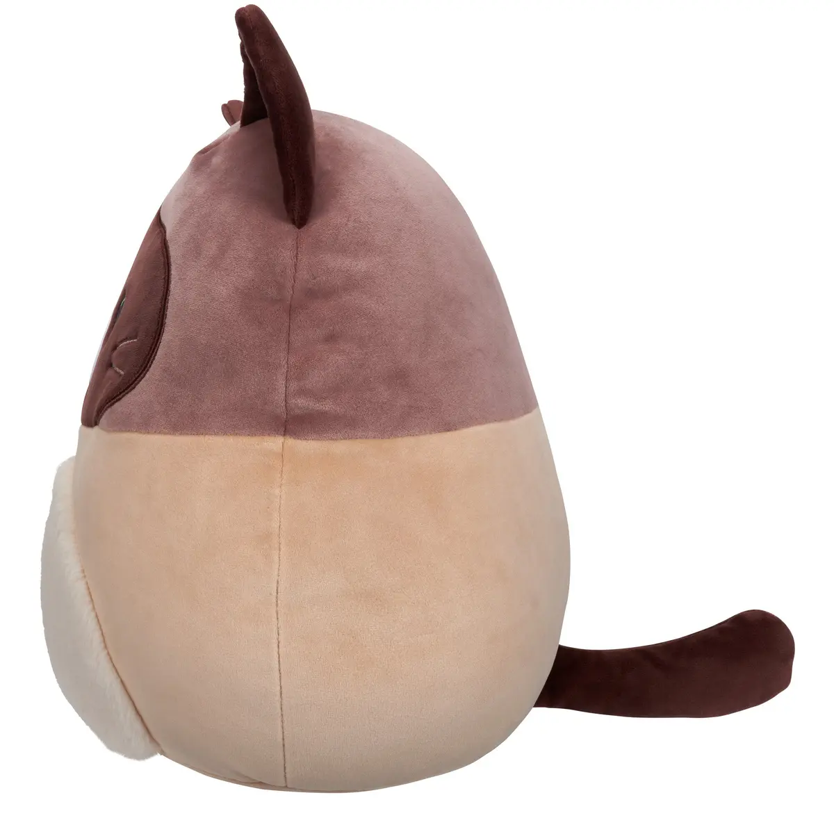 16-Inch Woodward The Brown And Tan Snowshoe Cat 2
