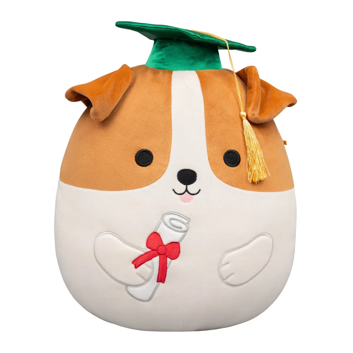 12-Inch Brenden The Jack Russell Terrier In Graduation Cap 1