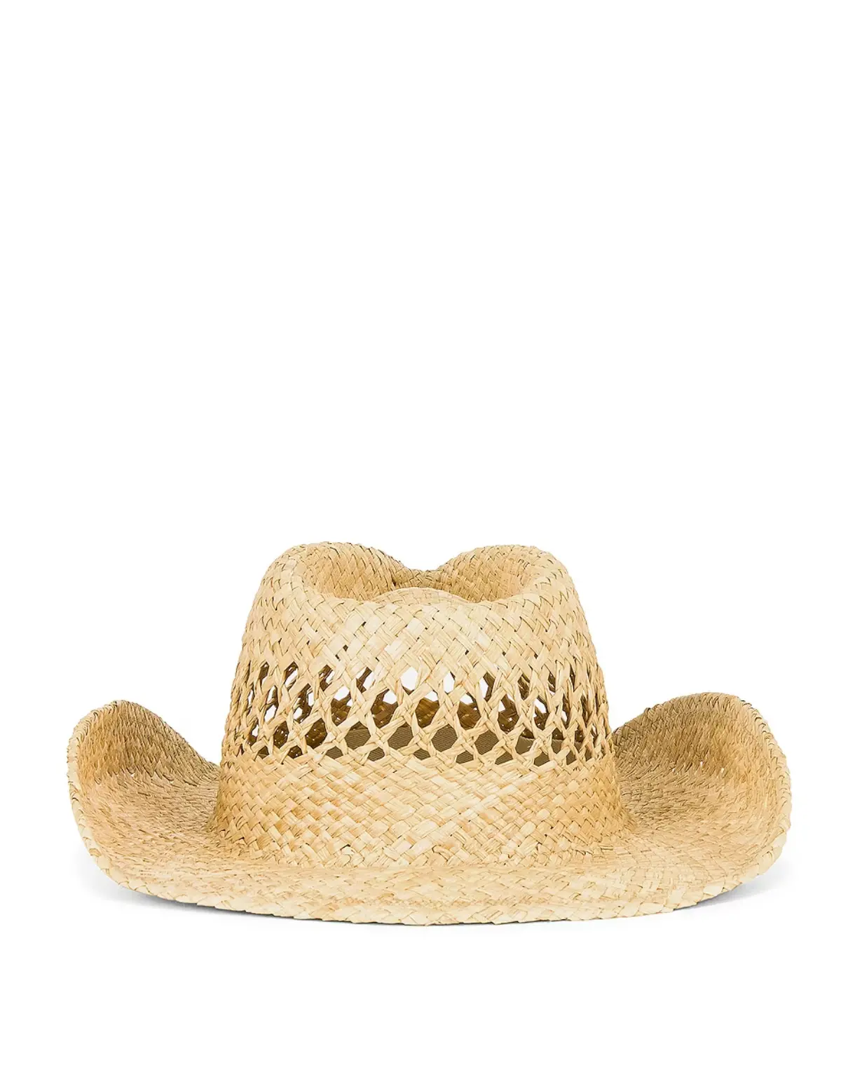 The Desert Cowboy 1