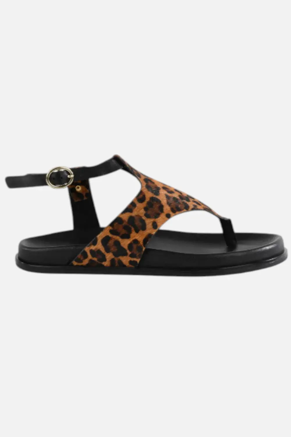 Seychelles In The Zone Ankle Strap Leopard Sandal 1