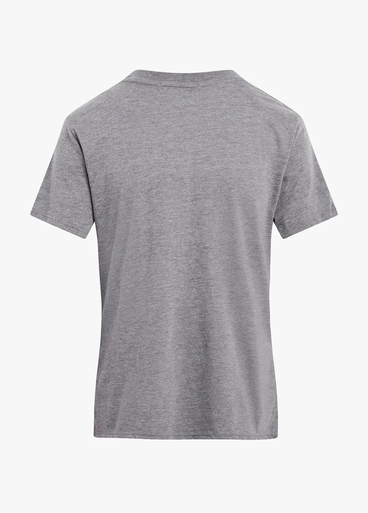 Favorite Daughter The Favorite Aunt Tee In Heather Grey 2