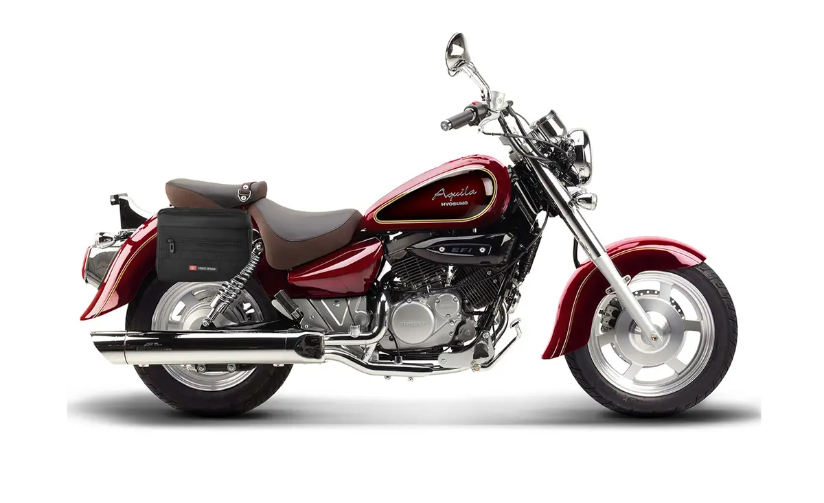 10L - Patriot Small Hyosung Aquila Gv 250 Throw Over Saddlebags 2